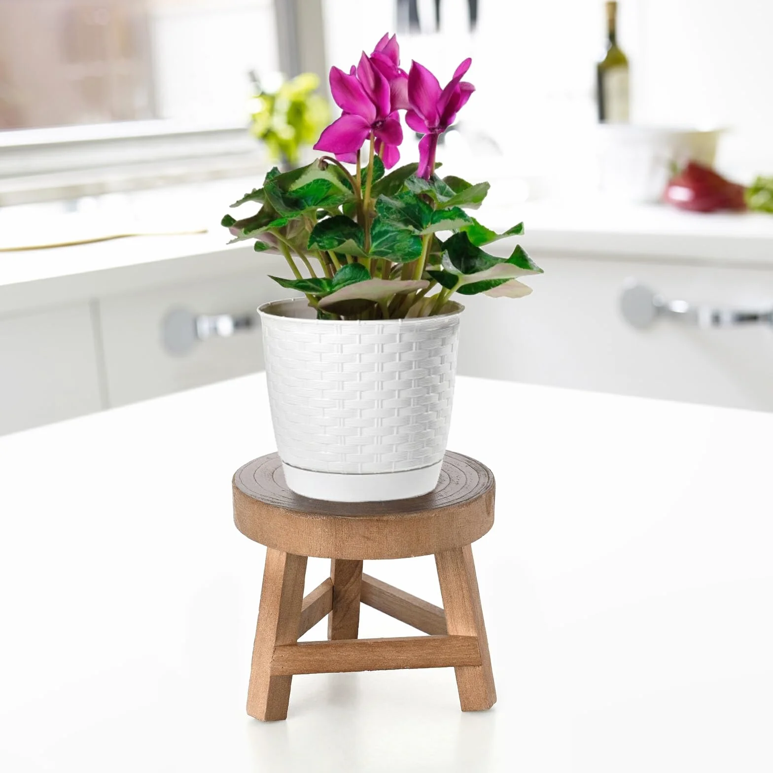 Mini Tabouret en Bois pour Plantes 17 cm - Décoratif Rond Support Pot de Fleurs pour Succulentes et Bonsaï