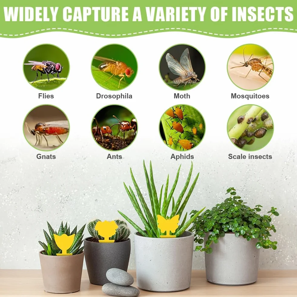 Flintronic Pièges à Insectes 120PC Attrape Moucheron Plantes Plug-in Autocollants Colle Double sans Insecticide Anti Moucheron Plante
