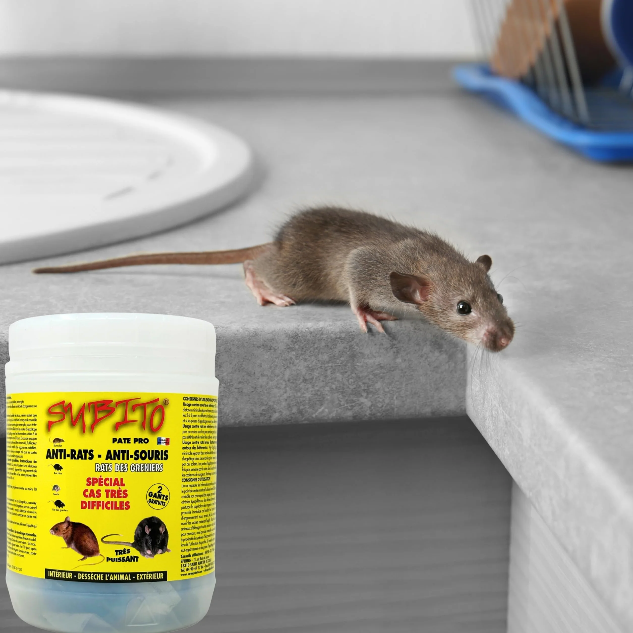 Raticide Professionnel Puissant 150g - Élimination Rapide Rats et Souris - Appât Poison Haute Appétence