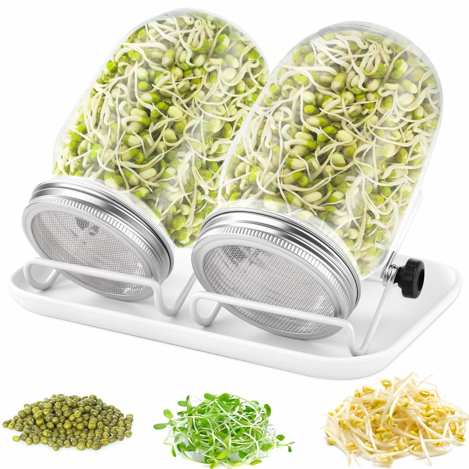 Bocal de Germination de Graines en Verre, 2 Couvercle Grille Acier Inoxydable, Kit Germoir