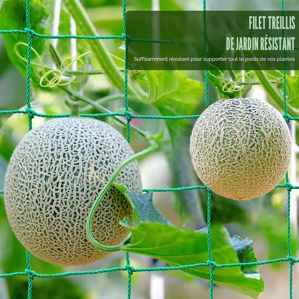 Filet pour Concombre 5 m x 2 m Treillis Jardin Plante Grimpante Exterieur avec Clips et Attaches
