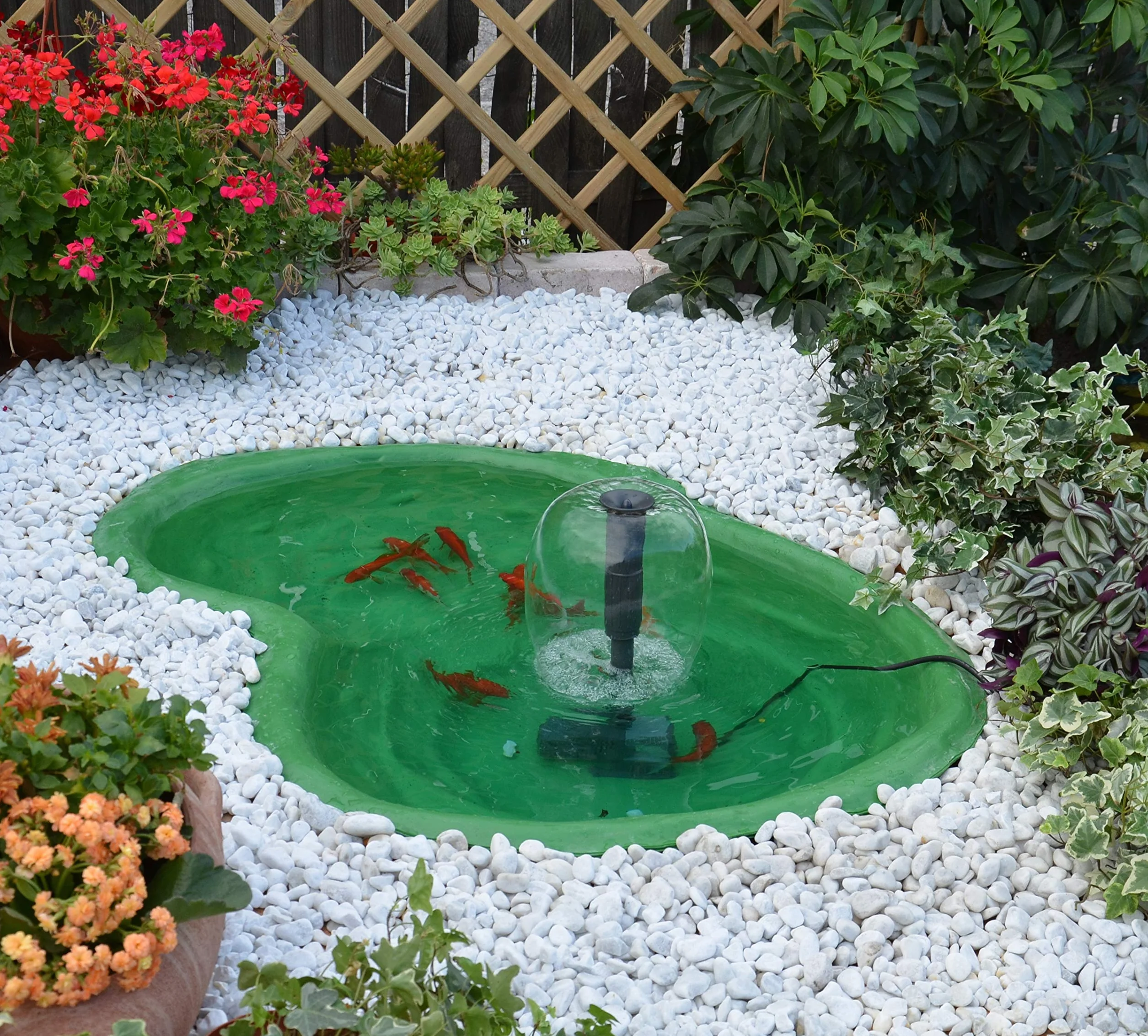 Giardini d'Acqua Bassin de Jardin Mod. Caldonazzo Poissons Plantes Aquatiques Tortues