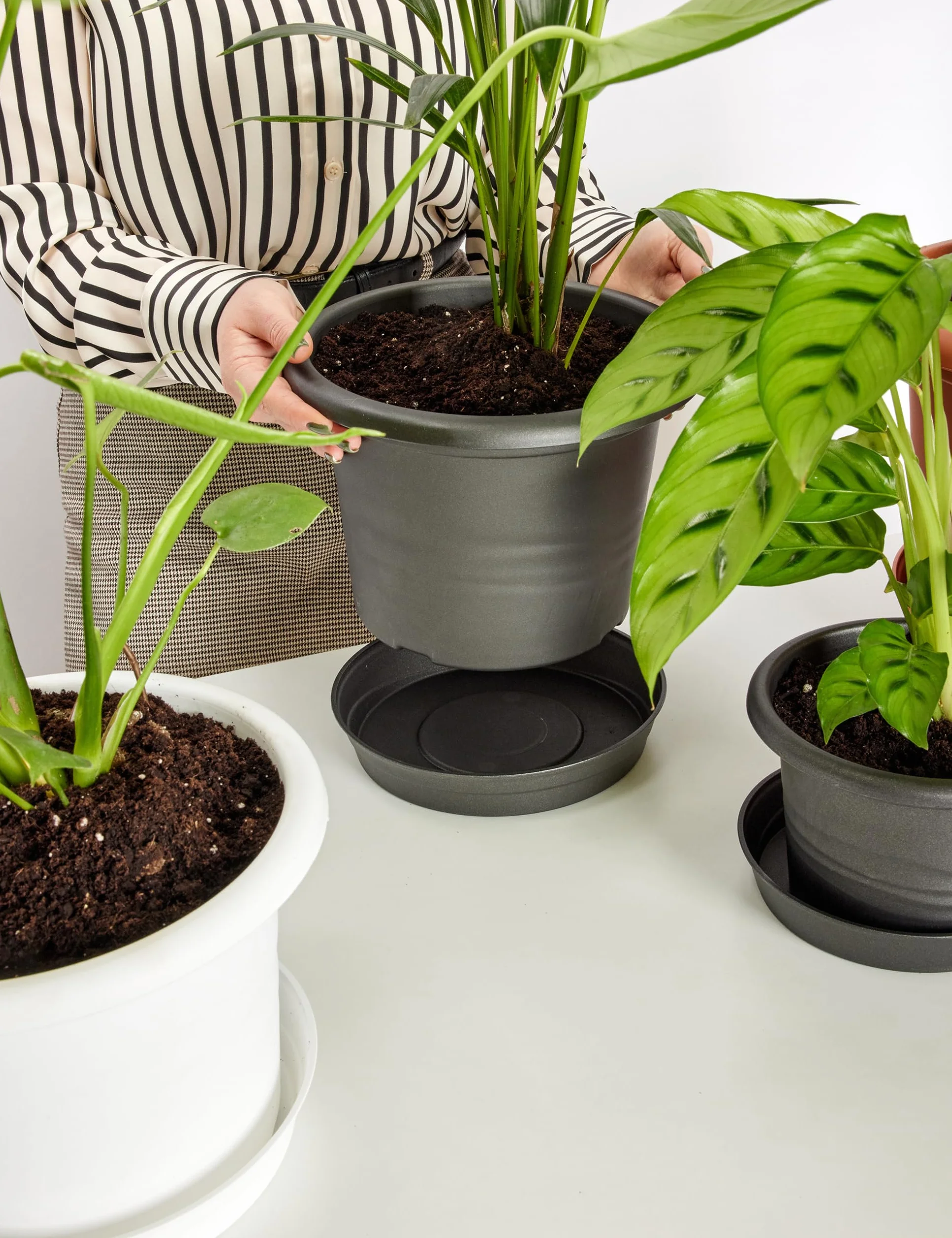 Soucoupe pour Plantes Plastique Plateaux Pot Terracotta ⌀ 34cm H 5cm