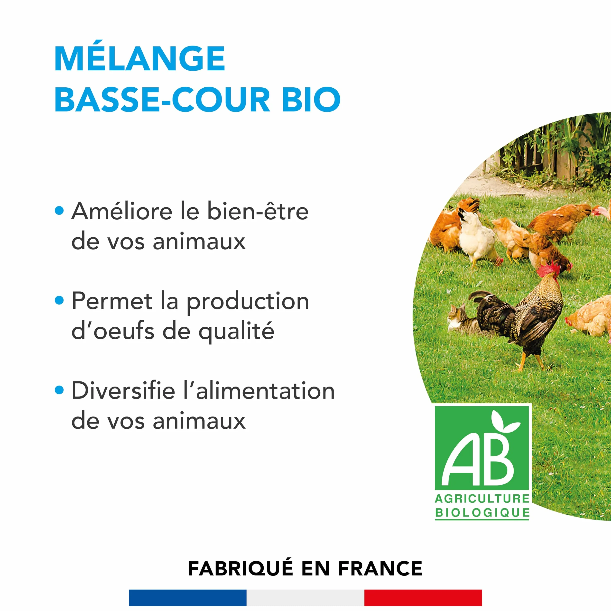 BARENBRUG Mélange Basse-cour BIO Production d’Œufs de Qualité 250G