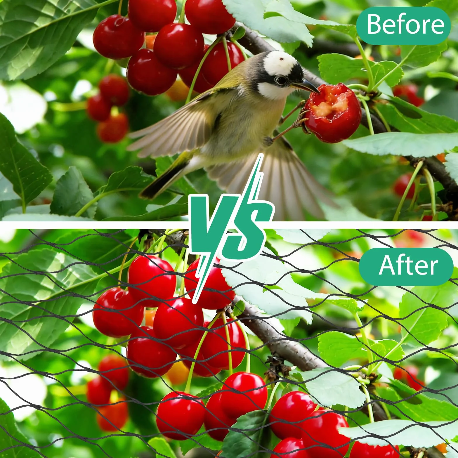 Filet de Protection Anti-Oiseaux 4m x 6m, Filet de Jardin à Mailles Fines, Réutilisable pour Arbres Fruitiers et Légumes