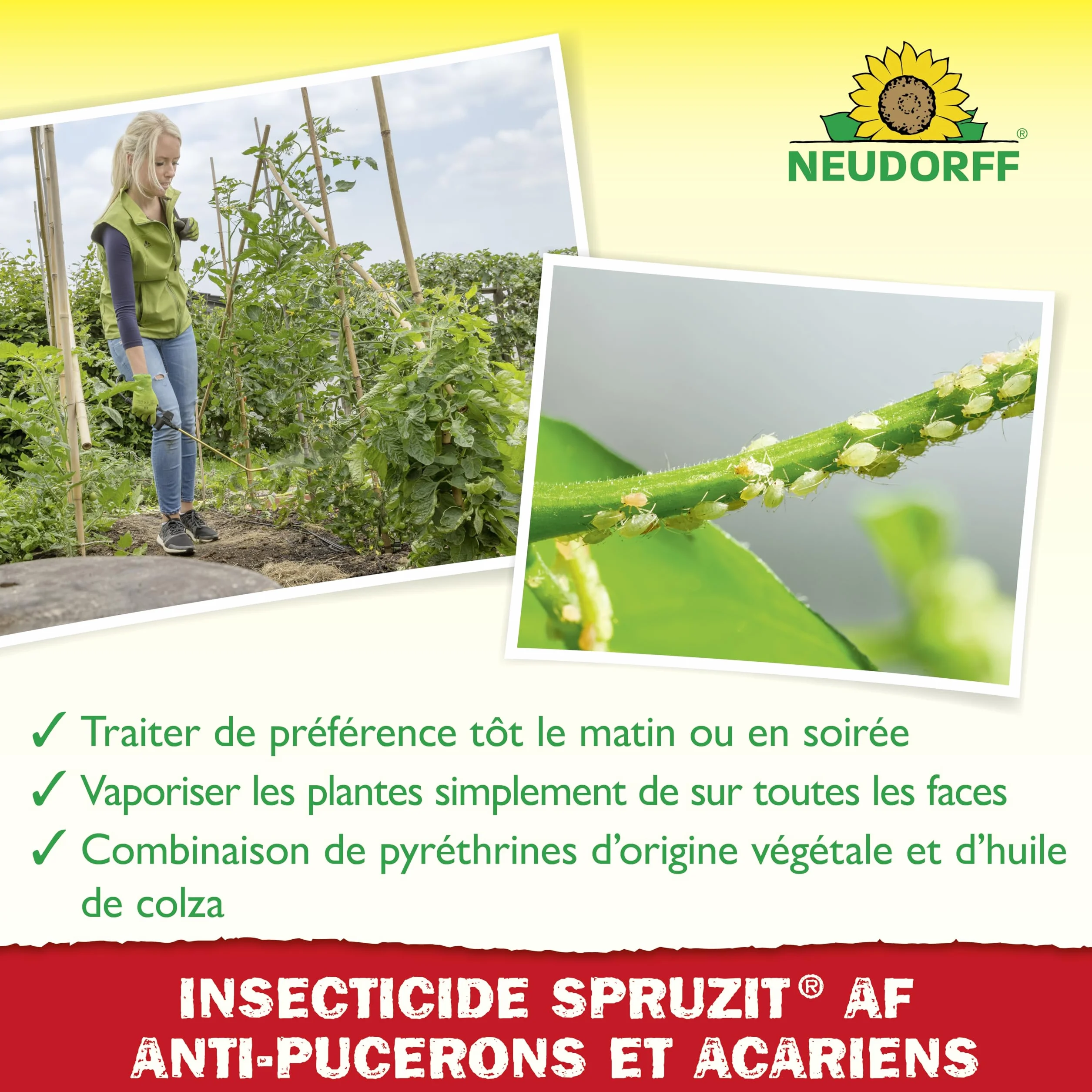 Neudorff Spruzit EC Insecticide Anti-Pucerons et Acariens Concentré 250 ml