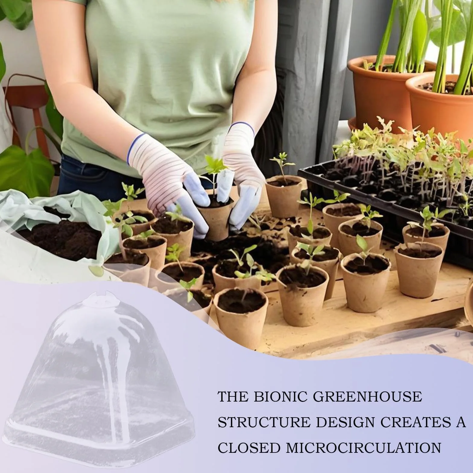 Cloche Végétale Transparente 10x Couvercle d'Isolation Thermique Mini Serre de Protection