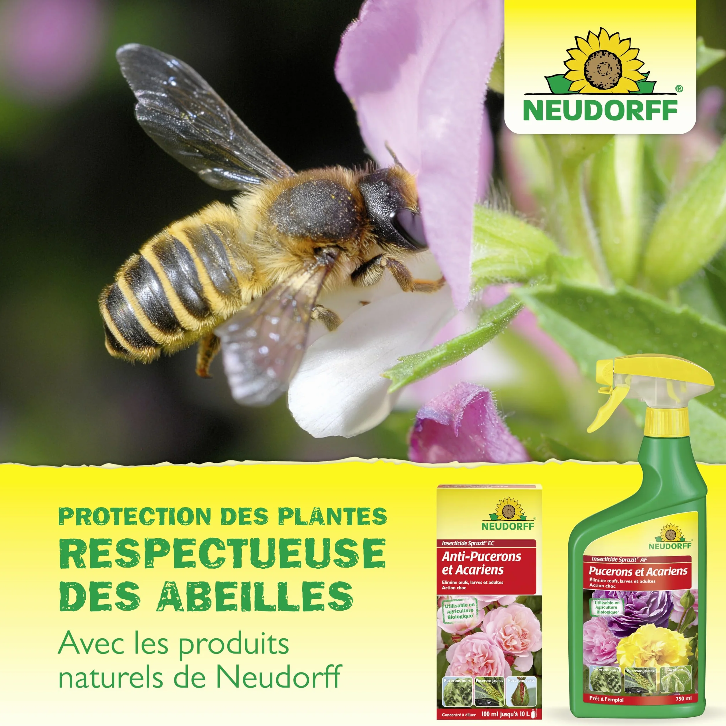 Neudorff Spruzit Insecticide Jardin Concentré 250 ml - Combat pucerons, cochenilles, ravageurs