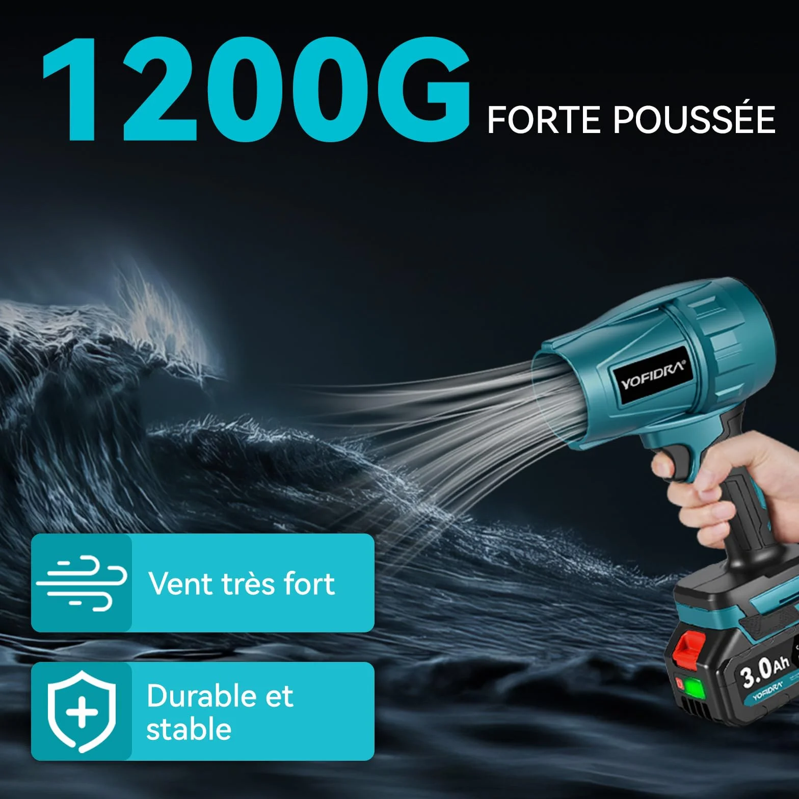 Souffleur de Feuilles sans Fil 576 km/h 28000 TR/Min 2 Batteries 3,0 Ah