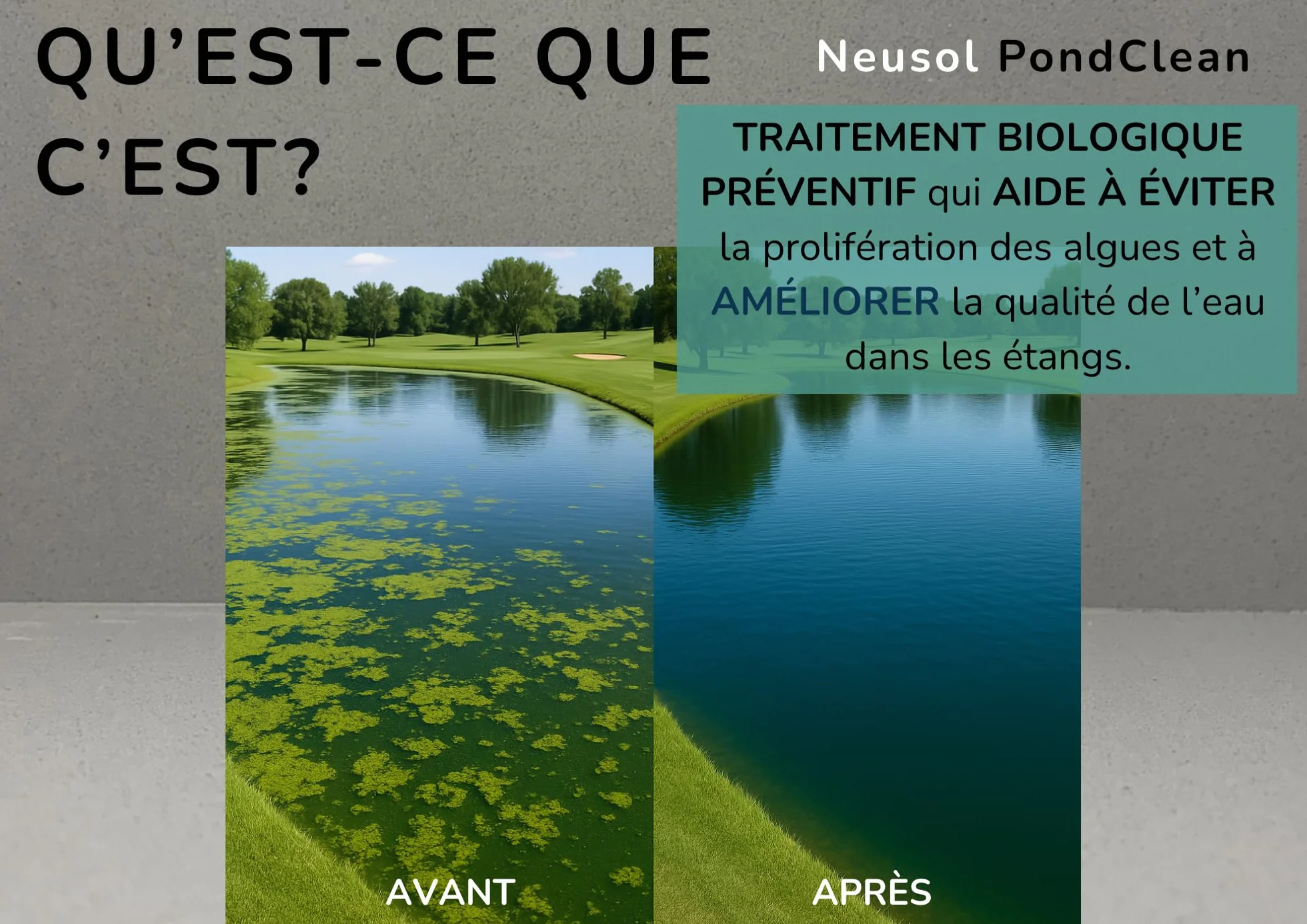 PondClean Traitement Biologique préventif pour bassins lacs fontaines contrôle algues eau verte clarifie réduit boues odeurs
