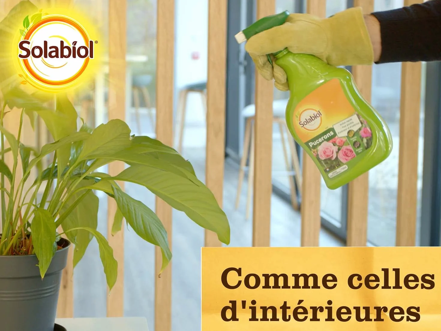 SOLABIOL Anti Pucerons Pulvérisateur 750ml Prêt À L'emploi Action Rapide