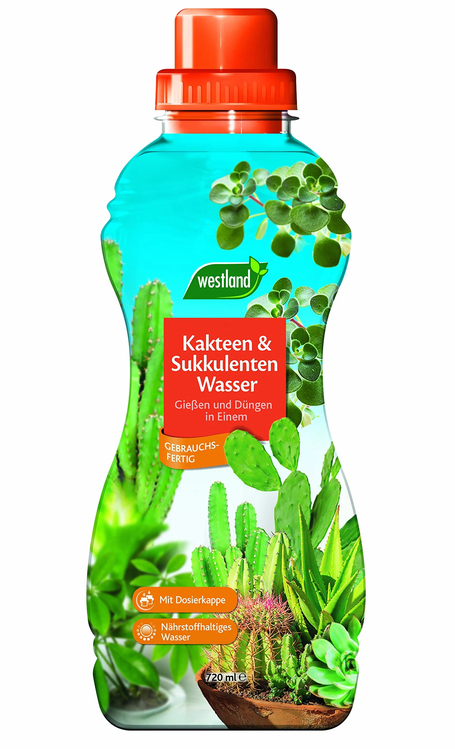 Westland Eau spéciale Cactus et Plantes Grasses 720 ML Fertilisant Liquide avec Dosage Deux-en-Un Arrosage et Engrais