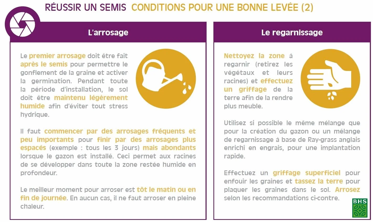 BHS Kikuyu Gazon Zones Méditerranéennes 300g 25 m² Résistant Fortes Chaleurs KIK300
