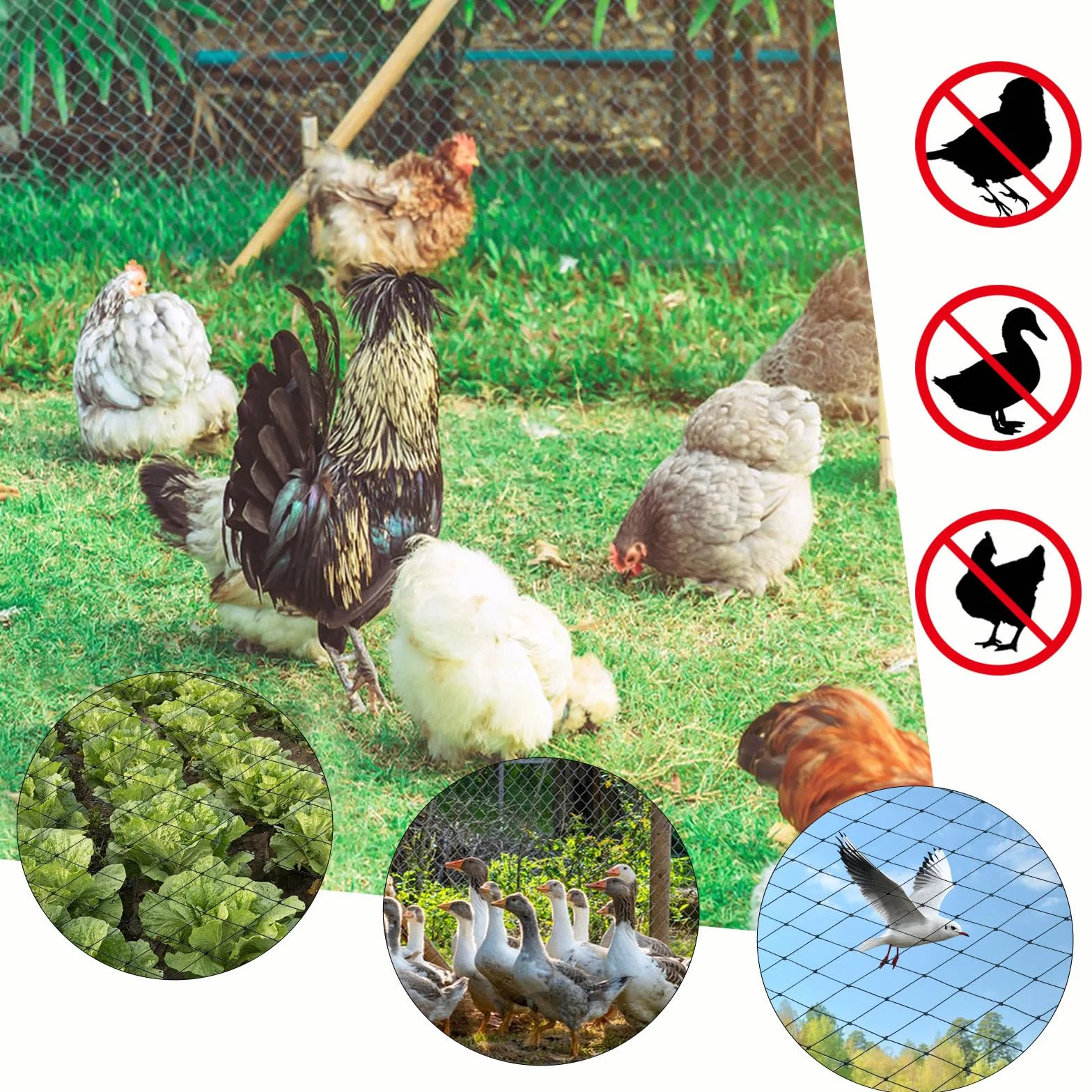 Filet Anti-Oiseaux Noir 10m x 10m - Protection Volière Poulailler Potager