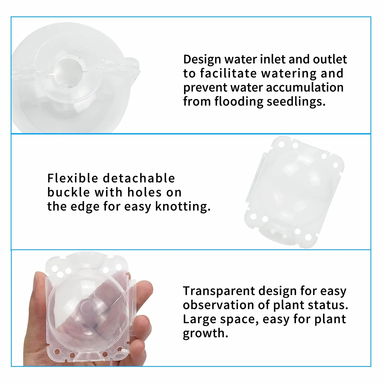 Lot de 12 Boîtes d'Enracinement de Plantes Transparentes avec Serrures et Pulvérisateur