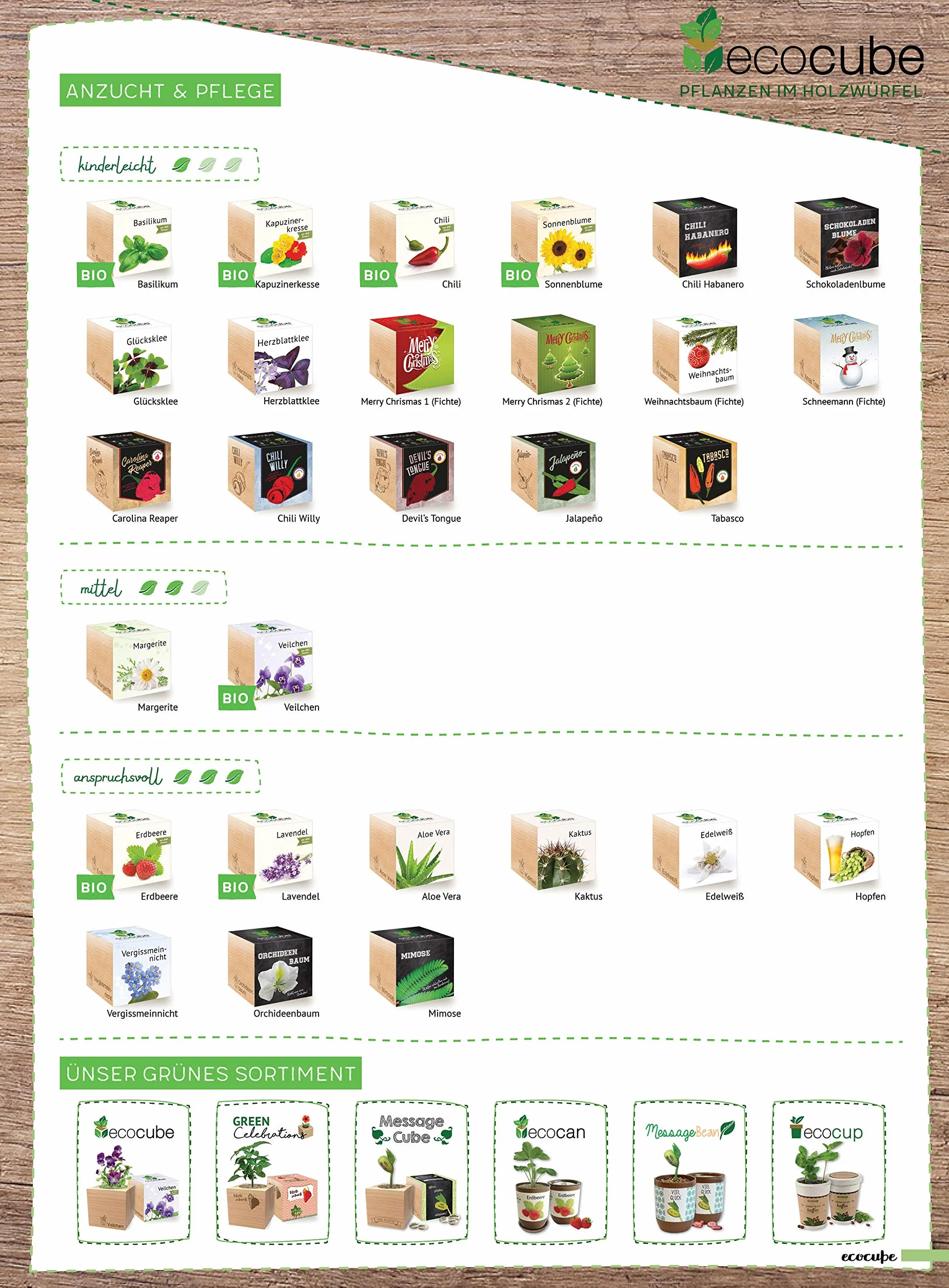 Feel Green Ecocube Trèfle Porte-Bonheur Kit de Culture dans un Cube en Bois