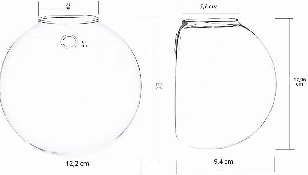 Lot de 4 Pots de Fleurs Muraux en Verre Transparent pour Plantes Aériennes, Tillandsia - Décoration Murale