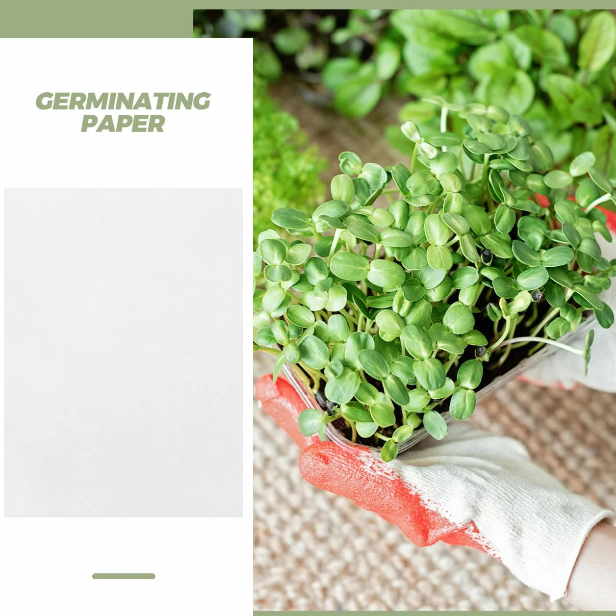 Yardwe Lot de 200 feuilles de papier de culture pour pousses et plateaux, 19 x 27 cm, sans terre, conservation de l'humidité pour microverts et bols de germination