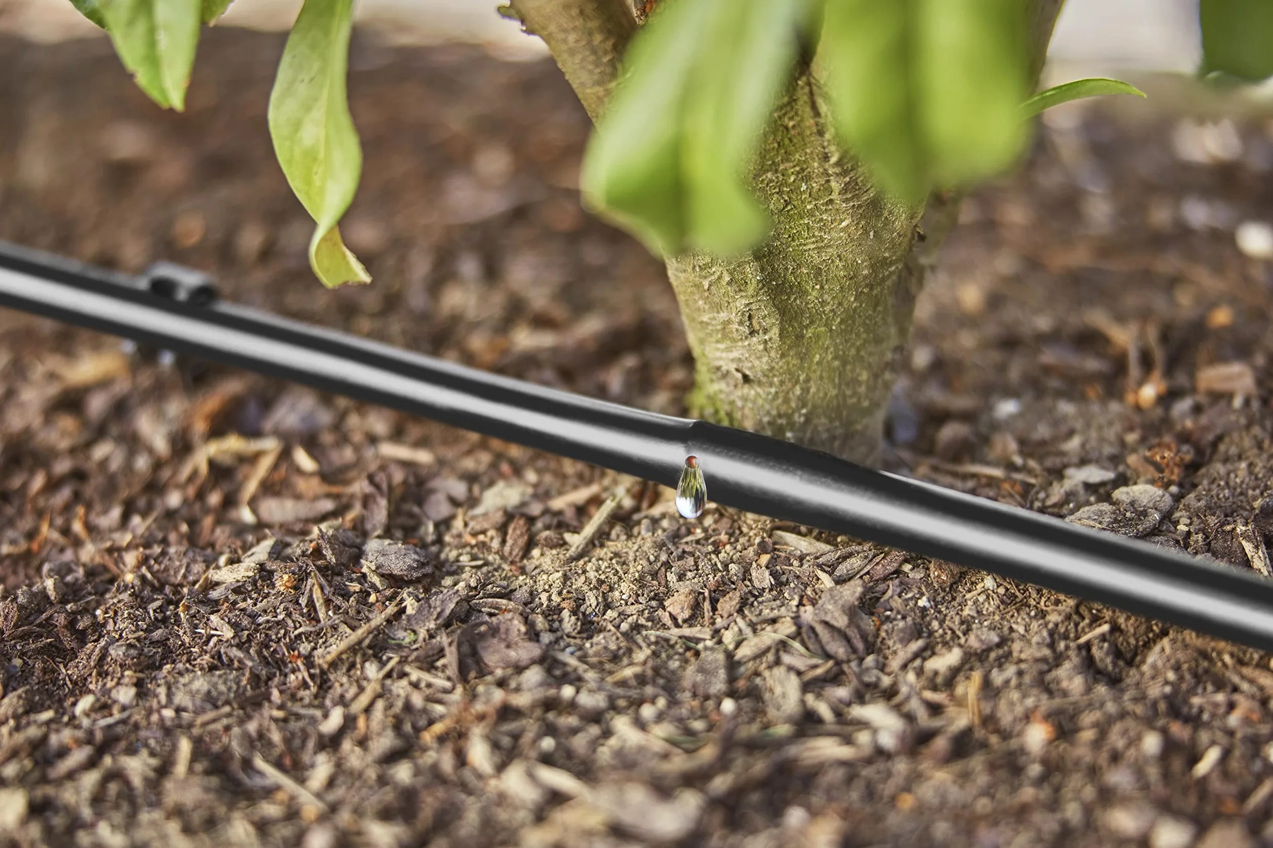Micro-Drip-Irrigation Hedge Bush Set 50 m