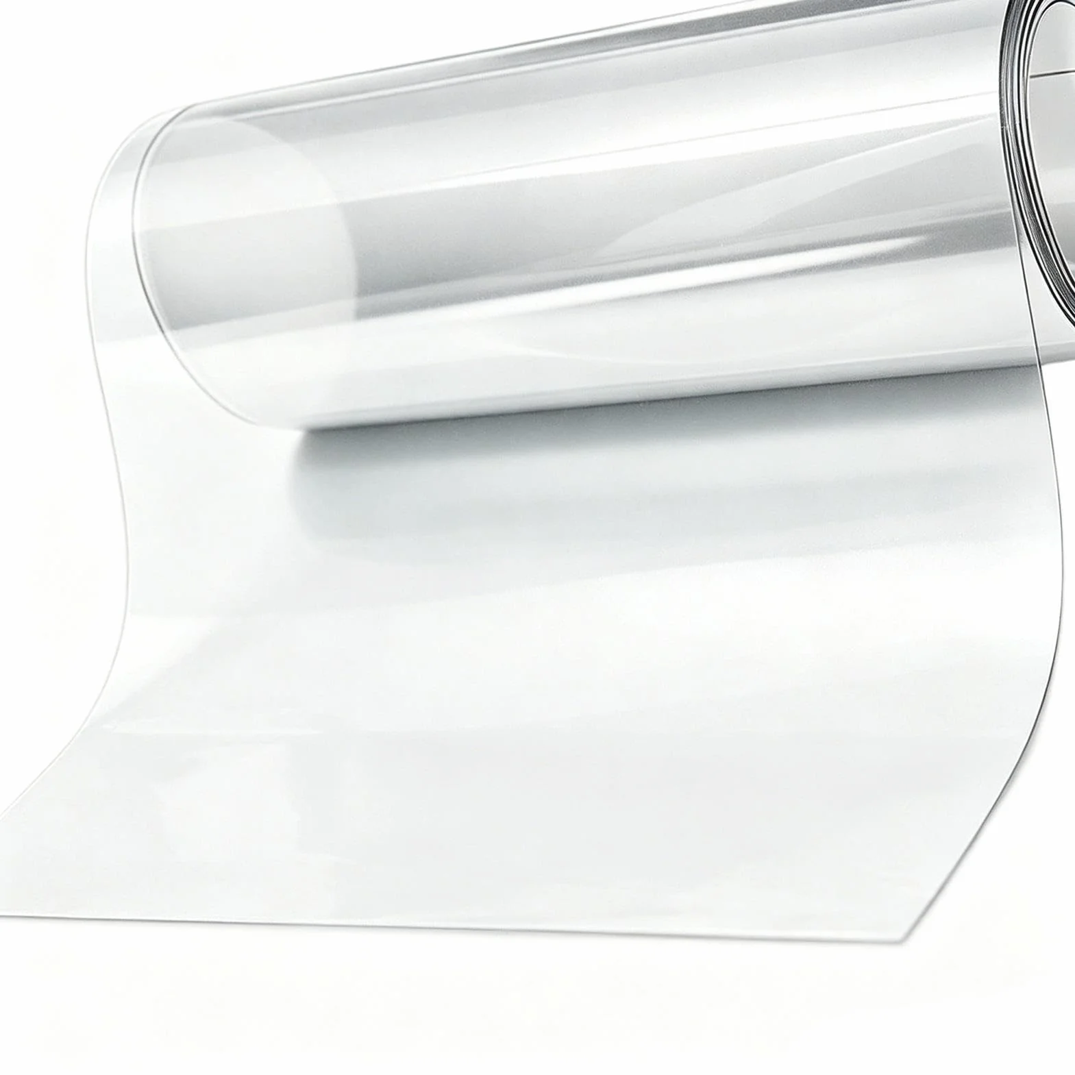 Déflecteur anti-écureuil pour mangeoire, transparent, imperméable, usage intensif, extérieur