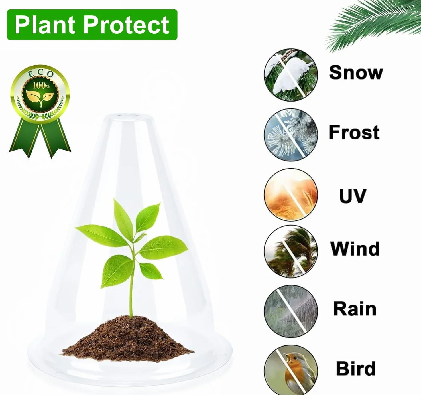 Cloches pour Plantes de Jardin 24 Pièces 24CM x 20CM Couvercle Plastique Mini Serre Protection Gel Oiseaux