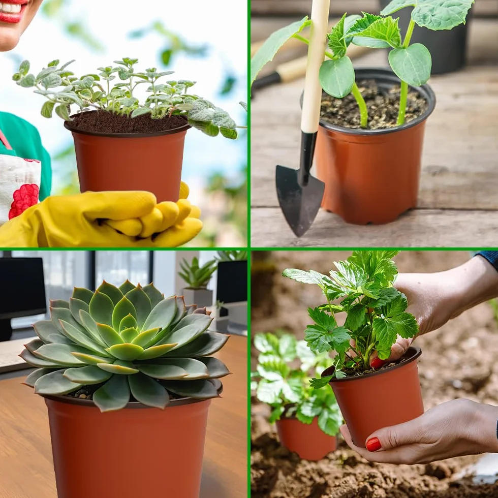 Pots pour semis 8 cm plastique lot de 100 pour plantes fleurs légumes fruits