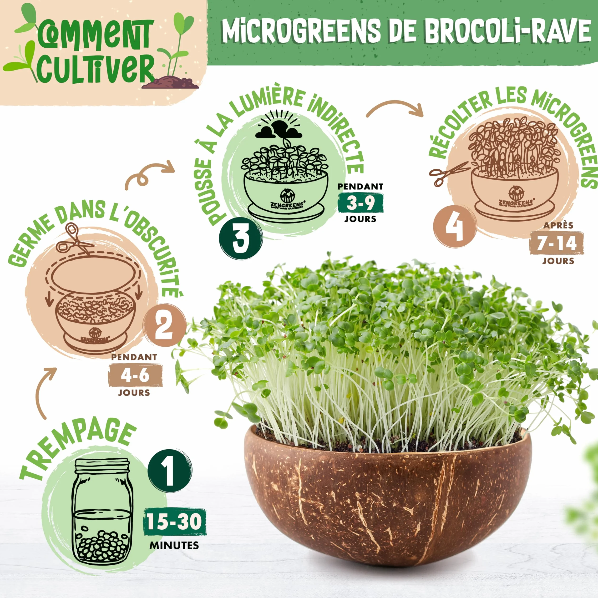 Kit de germoir pour microgreens Bio - Germoir en Coco - Inclus: coupelle, pastilles et graines (Brocoli, Radis, Haricot Mungo)