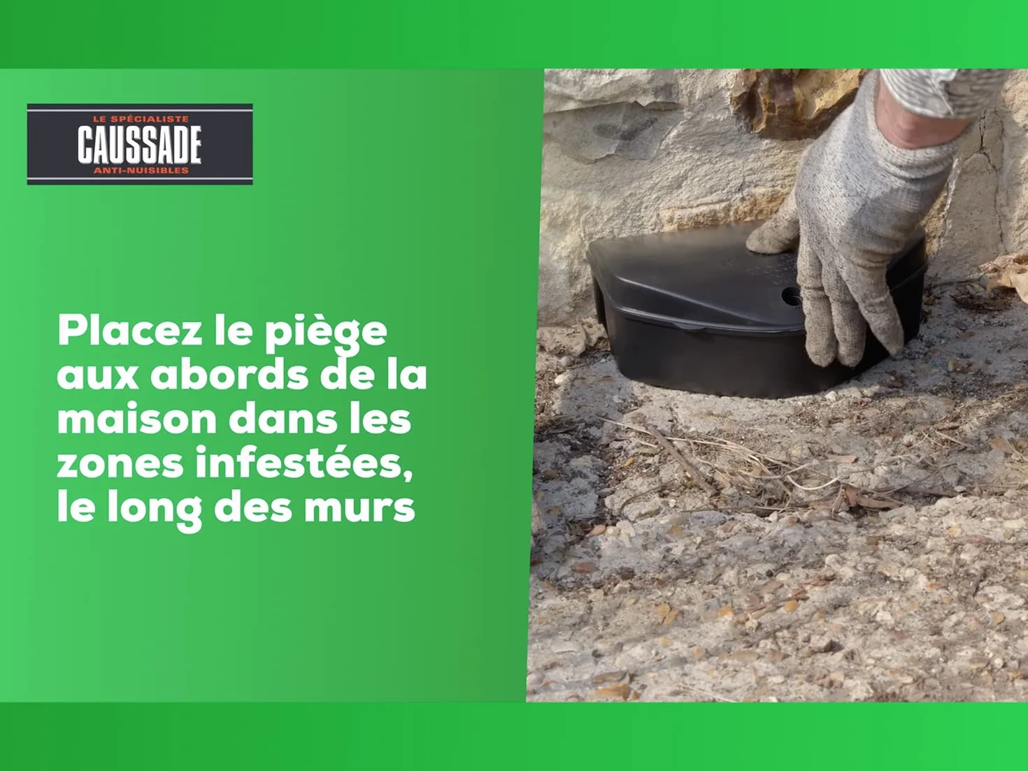 Caussade Raticide Canadien Anti Rats Souris 40 Appâts Pâtes 400g Prêt à l'emploi Fabriqué en France