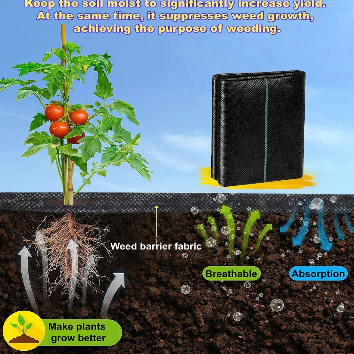 Membrane Anti-Mauvaises Herbes Haute Résistance 2m x 10m 20m² avec Piquets de Fixation