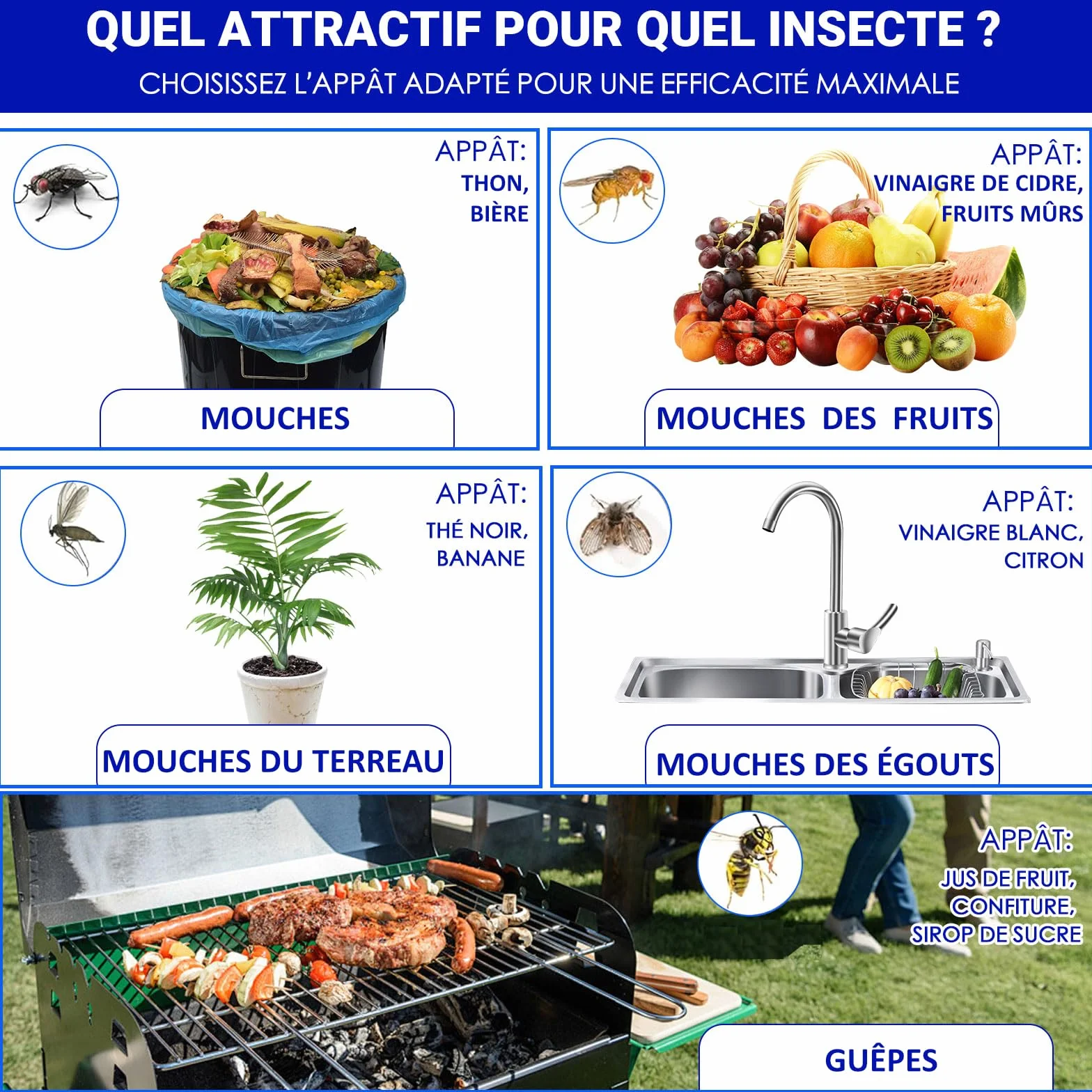 Pièges anti moucherons lot de 3 grands pièges ultra-collants sans insecticide pour cuisine intérieur