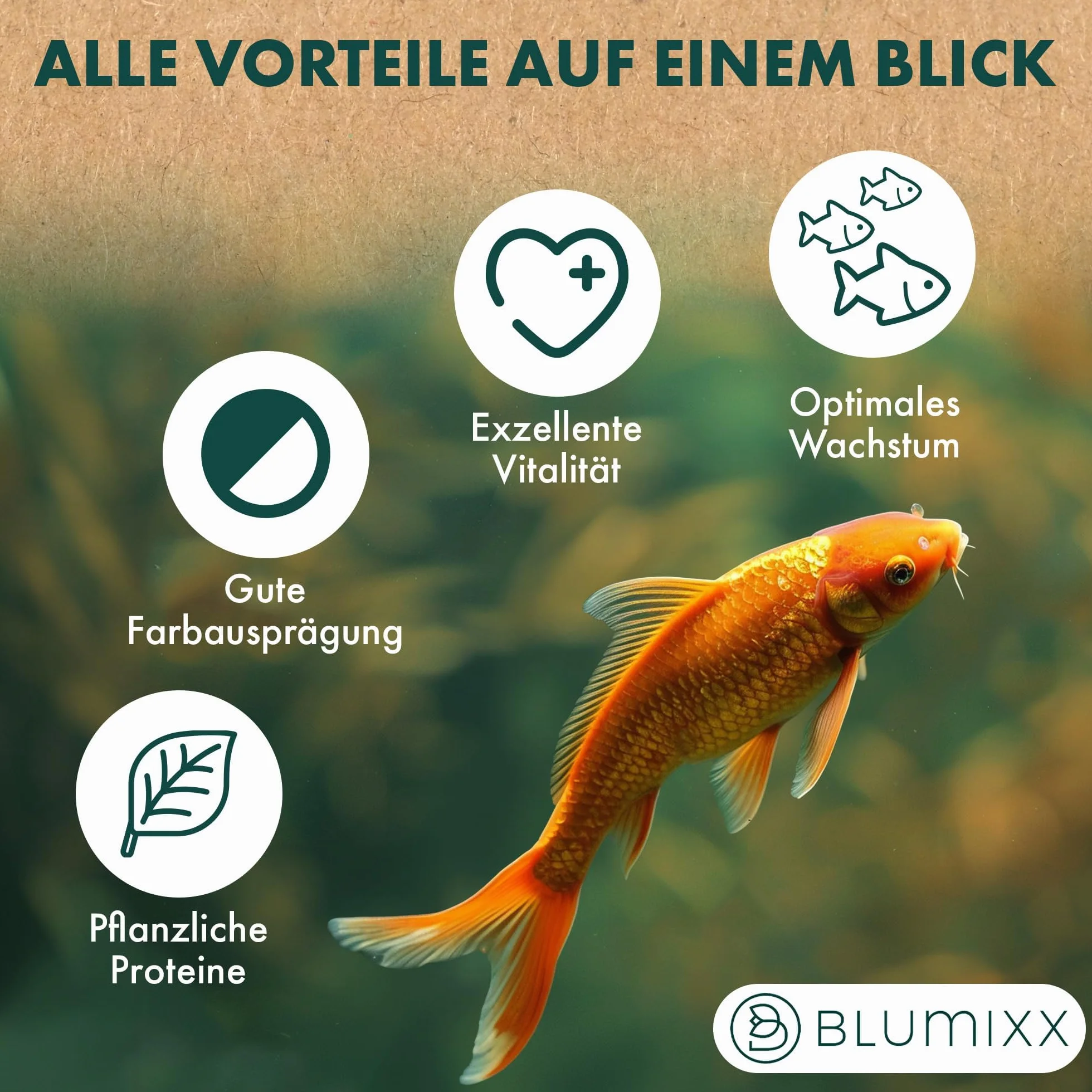 Teich Sticks Mix Sac de 50 litres (5 x 10 l) Aliment complet Nourriture pour poissons de bassin Avec vitamines Tricolore