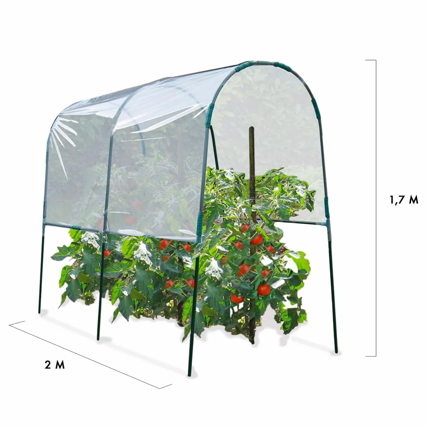 Serre à tomates 2 M Probache