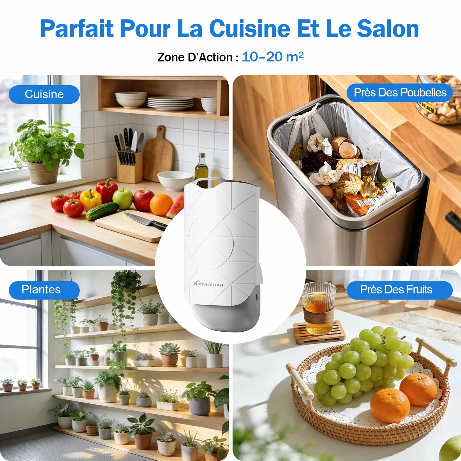 Homealexa Piège à Moucherons Intérieur LED UV Électrique, Anti Moucherons, Prise Rotative 180°, avec 6 Cartes Adhésives