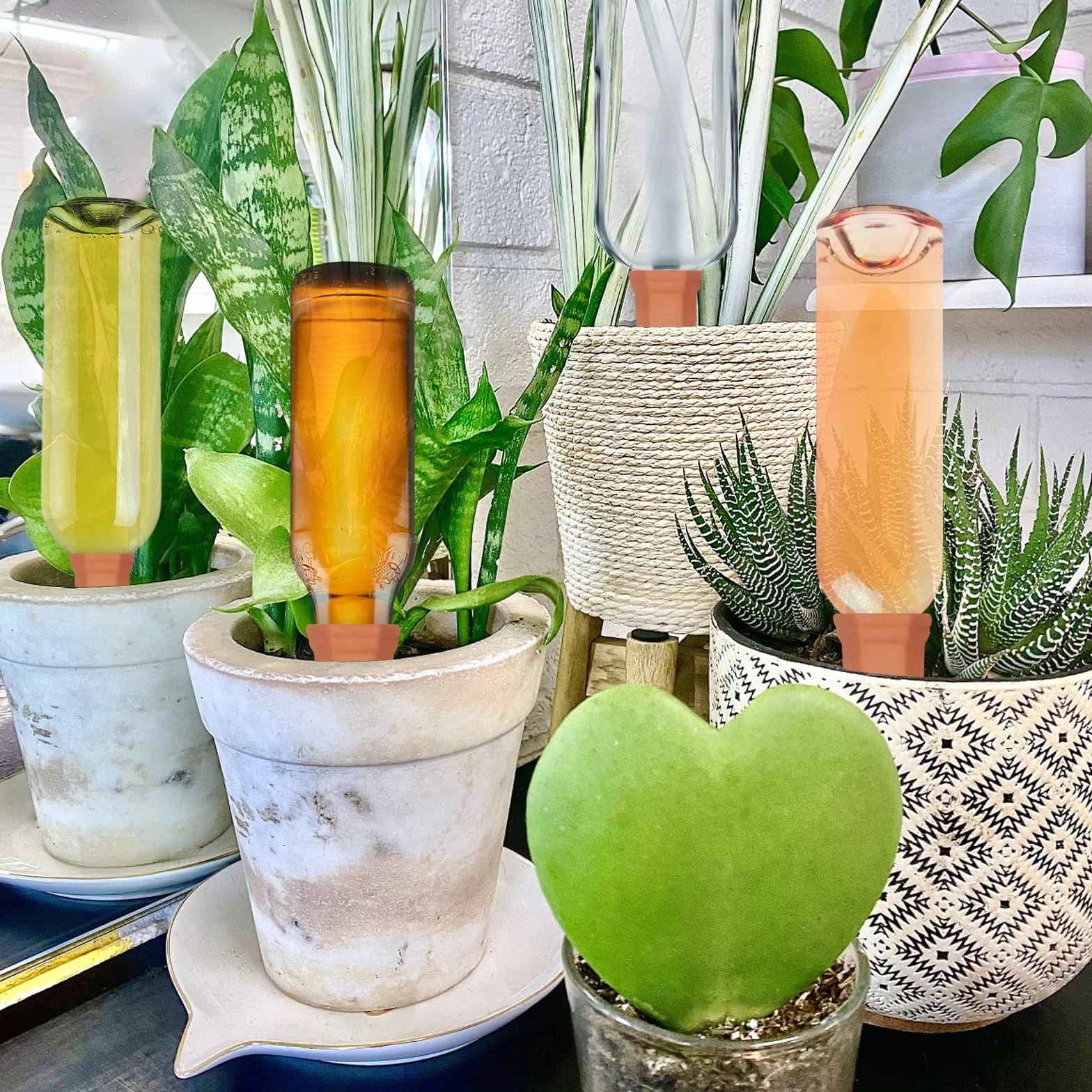 Lot de 10 Cônes d'Arrosage en Argile pour Plantes d'Intérieur, Goutte à Goutte Bouteille