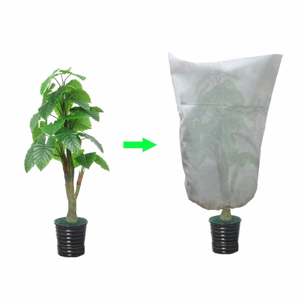 Housse Hivernage Plante 80x60cm Protection Plantes Réutilisable 2 Pack