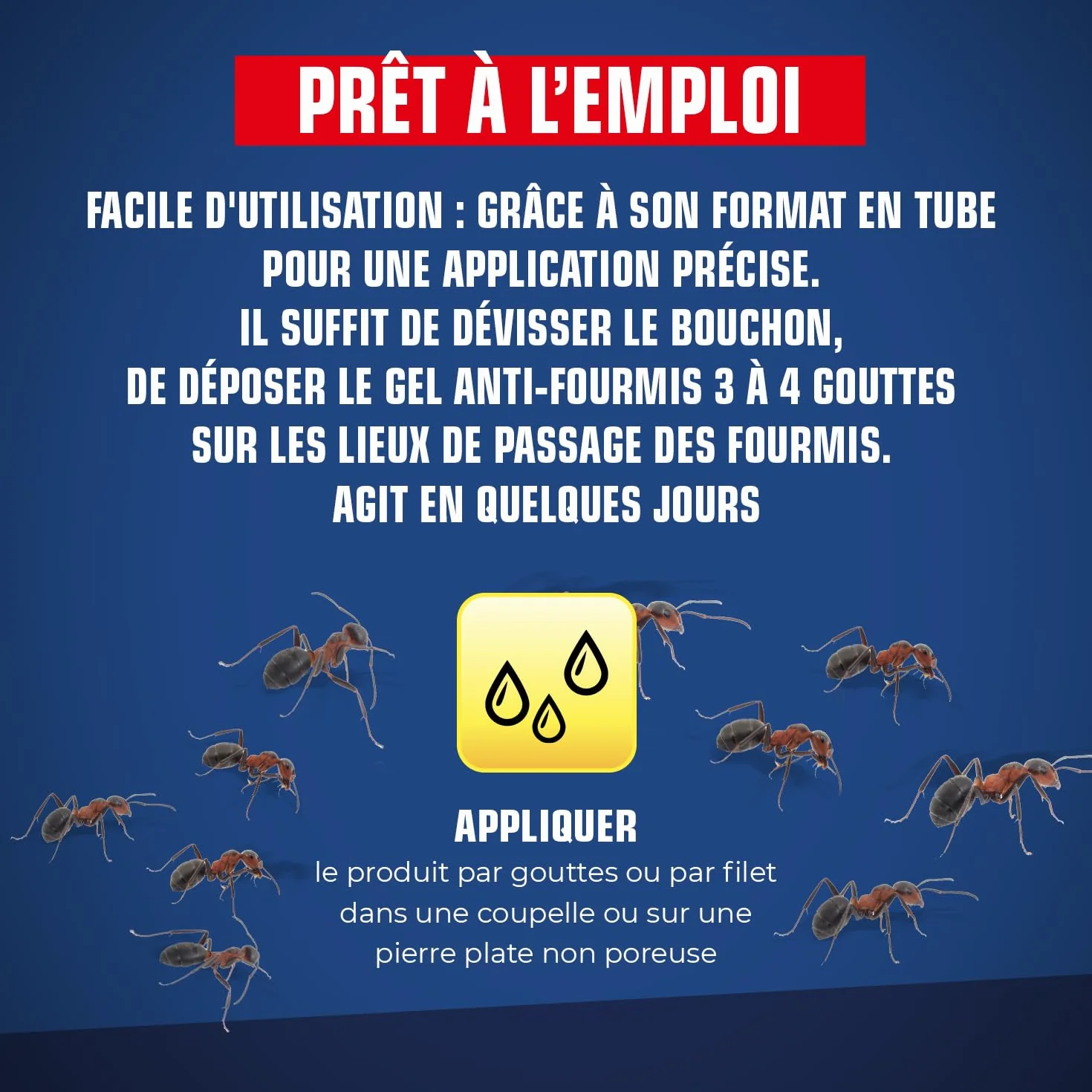 Gel Anti Fourmis K.PRO 15g Élimine Nid Action Radicale Intérieur Extérieur