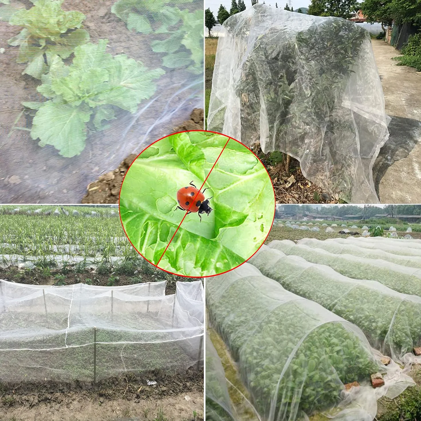 Filet Anti Insecte 3m x 10m Maille Fine Protection Plantes Jardin Potager
