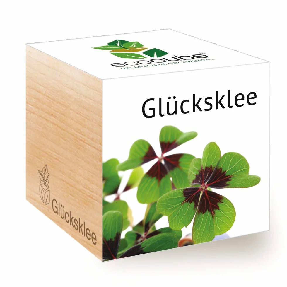 Feel Green Ecocube Trèfle Porte-Bonheur Kit de Culture dans un Cube en Bois