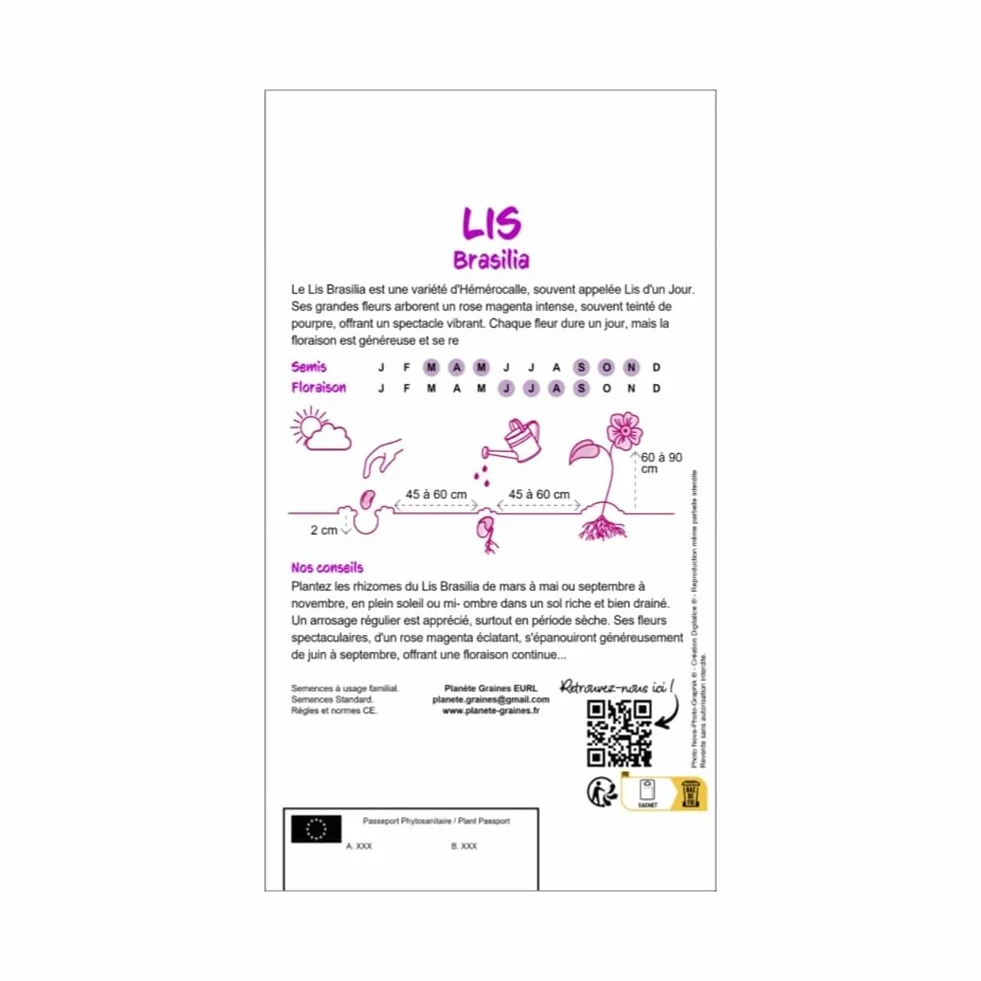 Lys Brasilia Rose - 5 bulbes