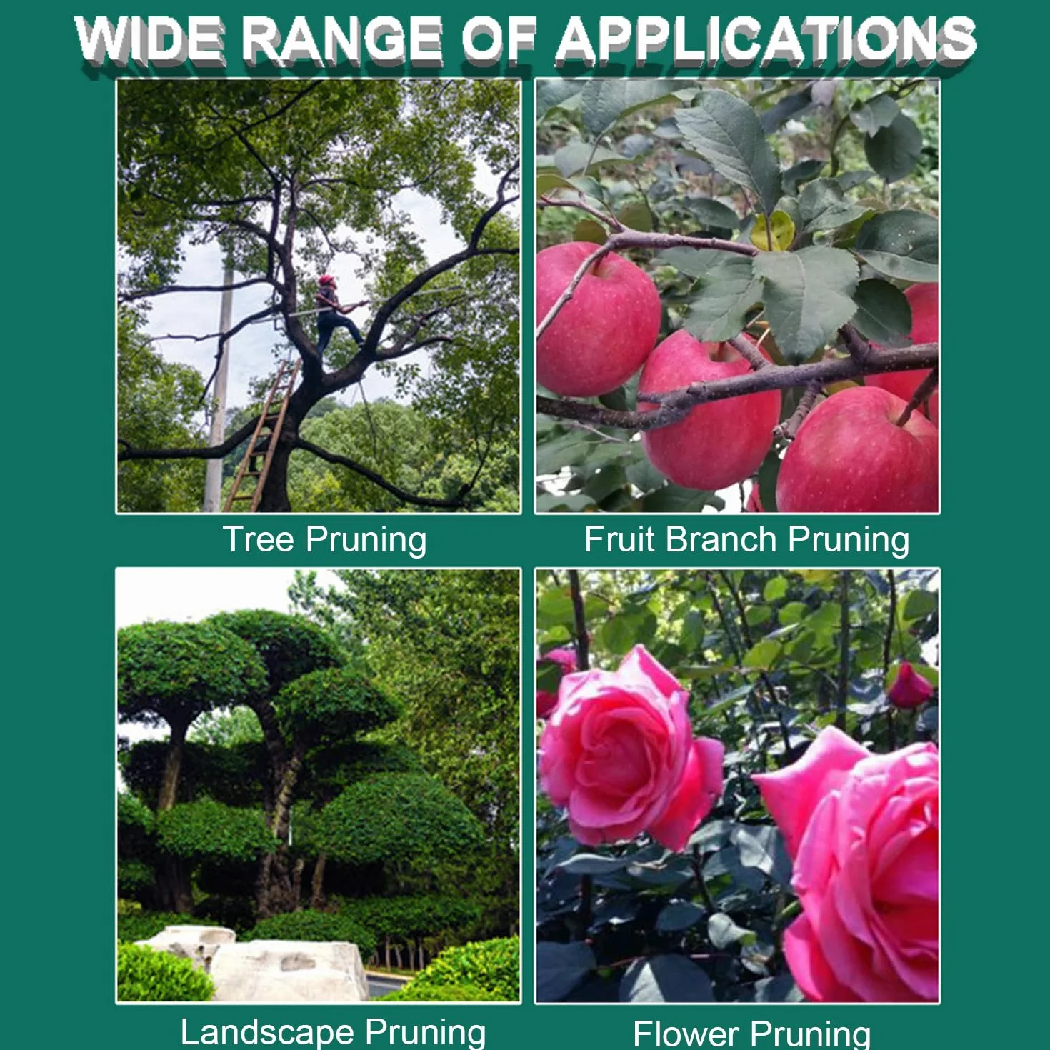 Coupe Branche Telescopique,Scie d'Élagage Manuelle,Secateur Telescopique Réglable En Hauteur Sur 5 m,Avec 10 Poteaux Alliage Aluminium Pour Élagage Coupe Branches Hautes Palmiers Arbustes(Bleu)