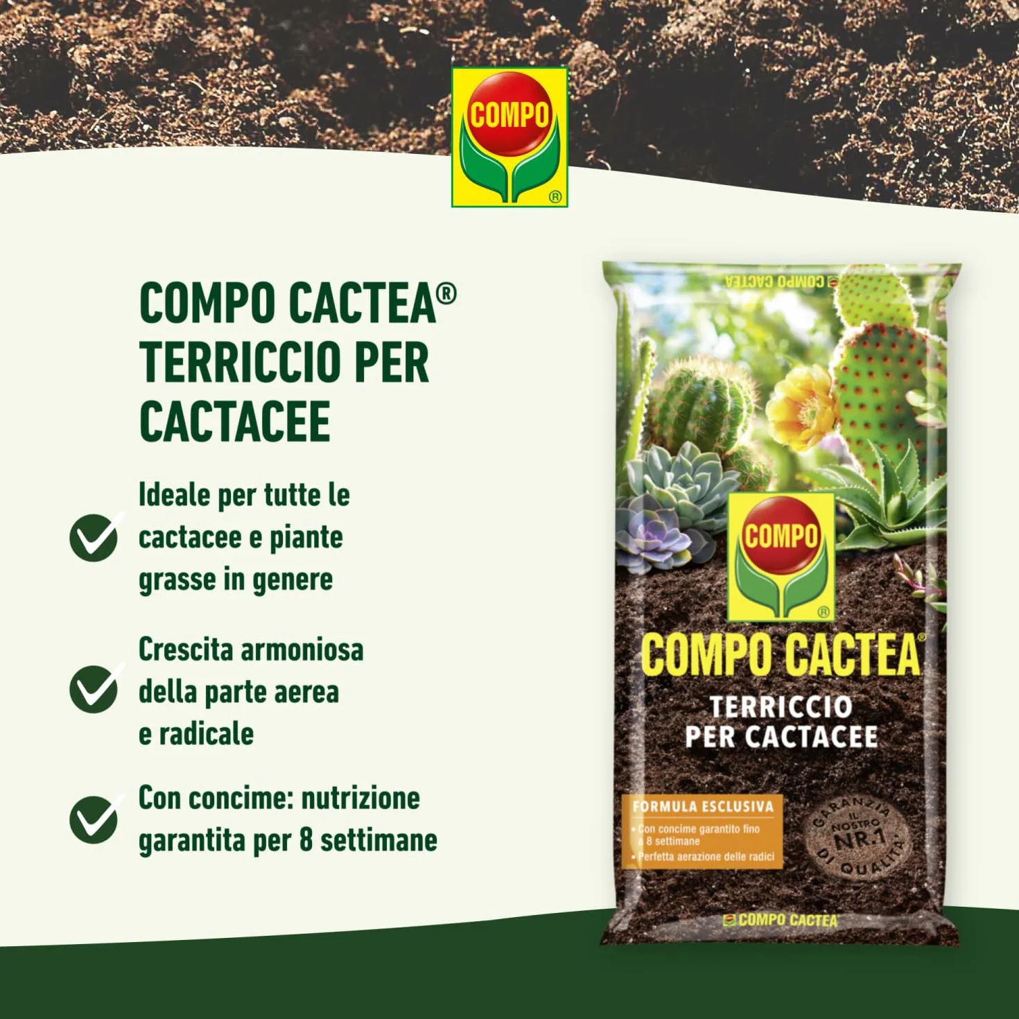 Pack de 5 Litres Sol pour CACTACE et Succulentes