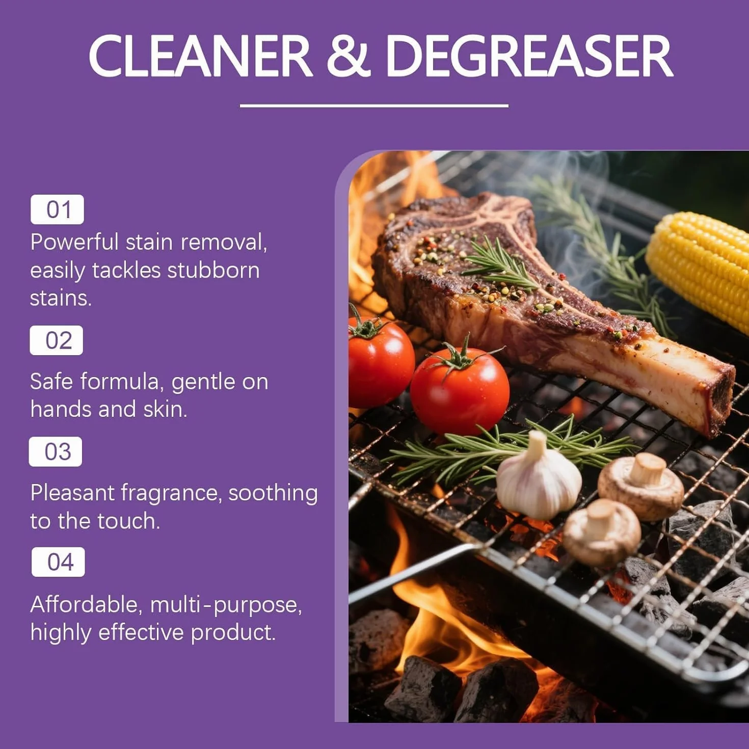 Nettoyant Barbecue Dégraissant Multi-Surface Heavy-Duty Fast-Acting (1 PCS)