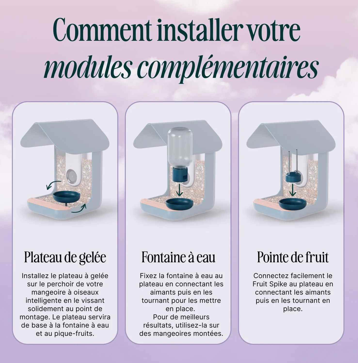 Birdbuddy Ensemble de Nutrition 3 en 1 – Fontaine à Eau, Piquet à Fruits, Mangeoire à Gelée pour Oiseaux Extérieur