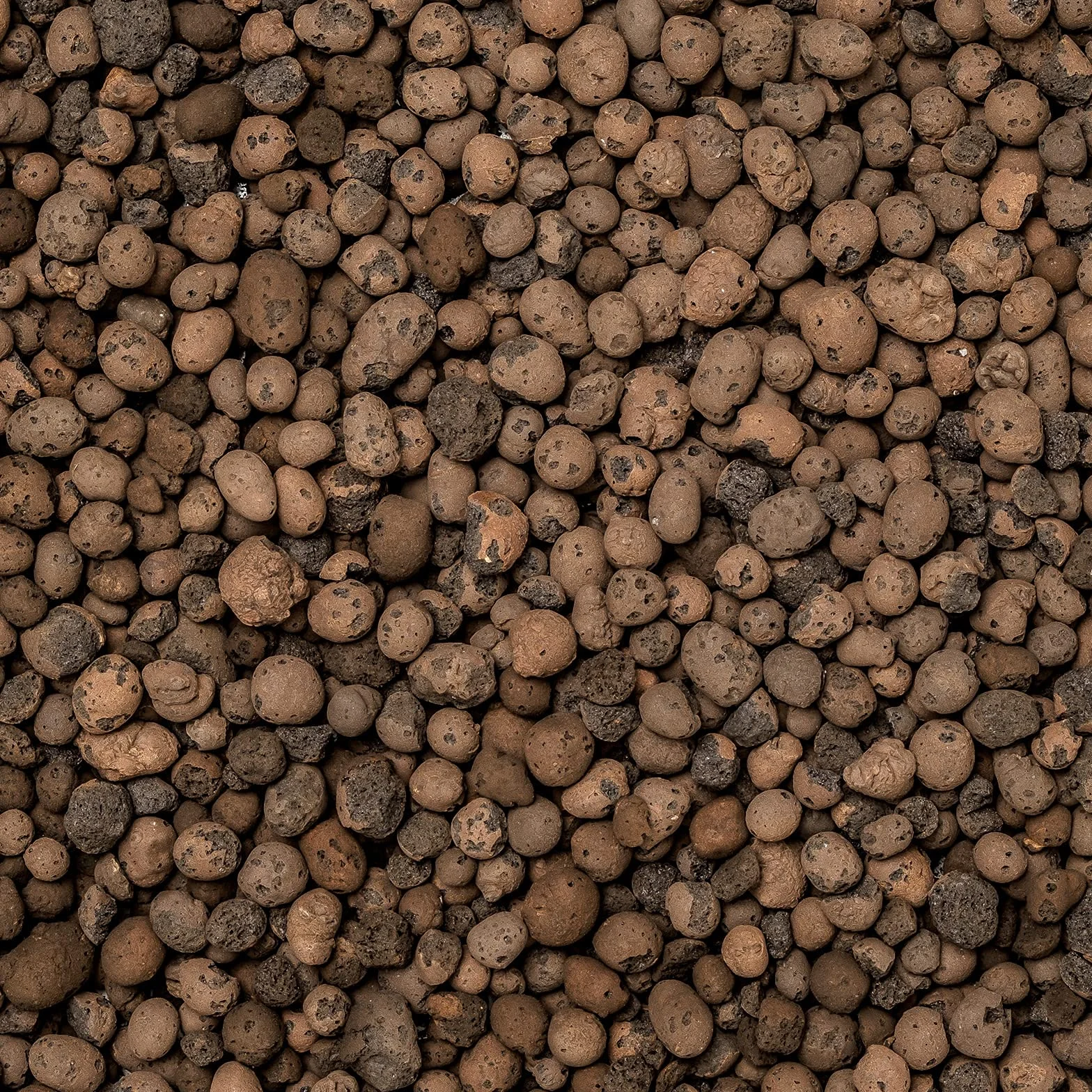 Argile expansée 4-16 mm 50 l Granulés substrat hydroponique drainage pour plantes jardinières