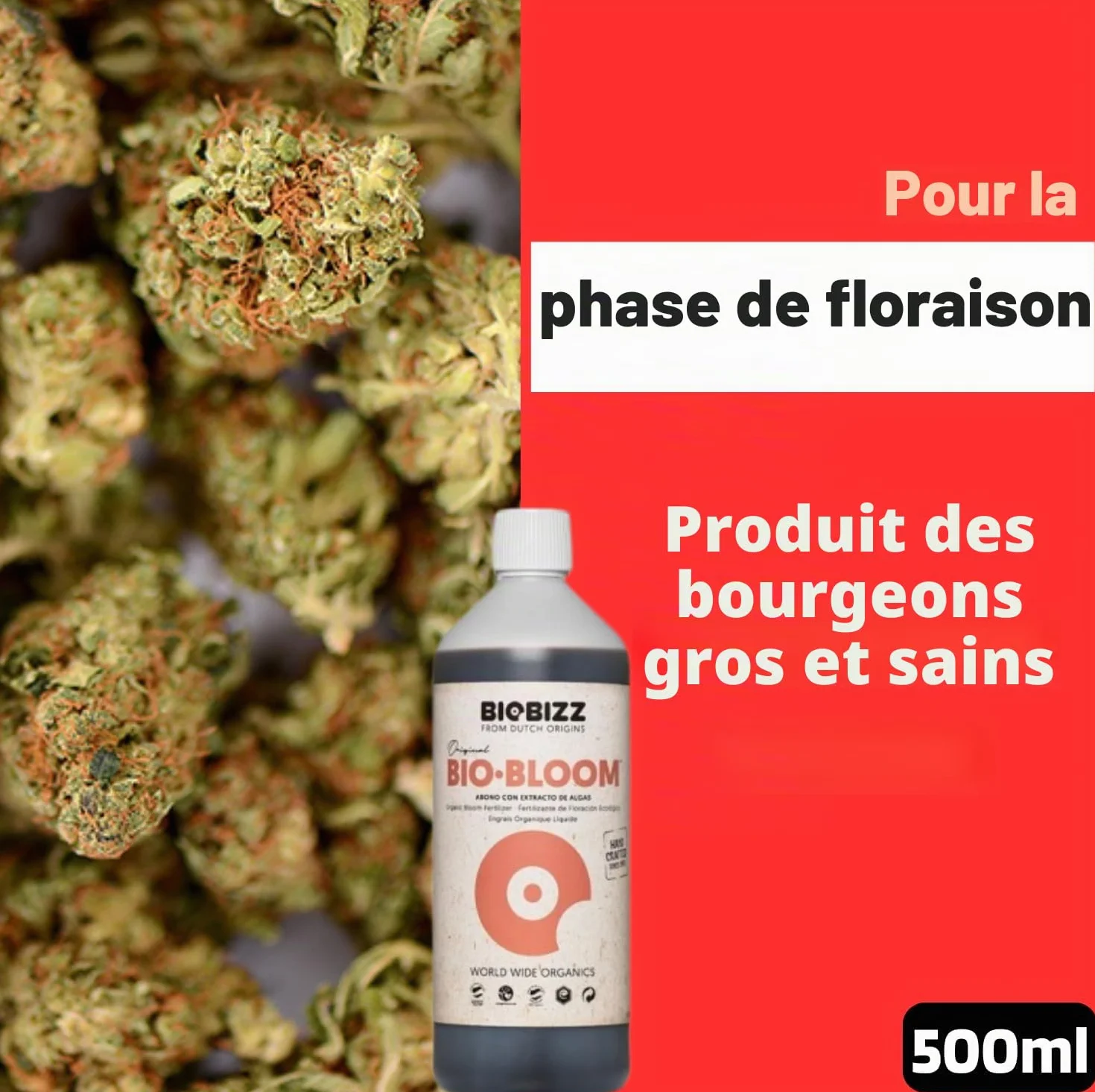 Biobizz Pack Démarrage Engrais Liquide pour Plantes Set de Croissance