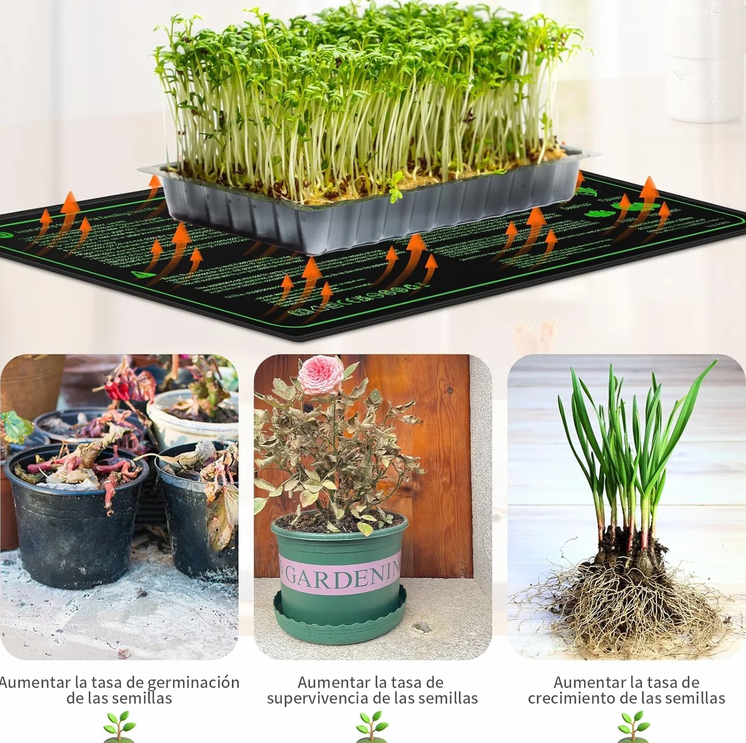 Pfloge® Tapis de Chauffage avec Thermostat, Tapis Thermique pour Terrarium, PVC Imperméable 6 Niveaux