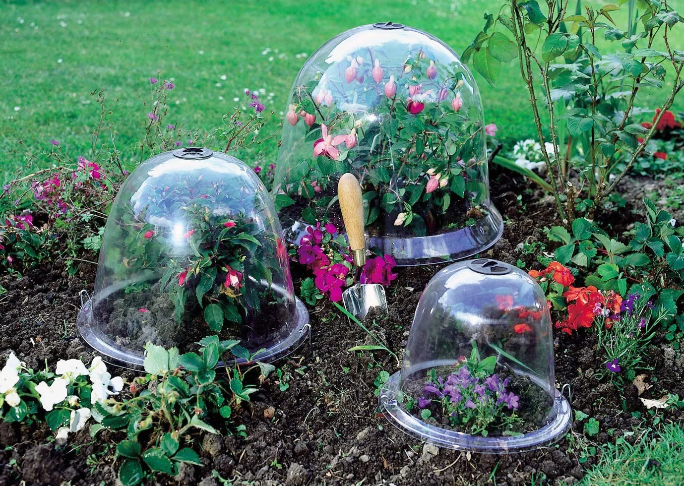 Haxnicks Lot de 2 cloches victoriennes Transparent Kingsize 40 x 31 cm
