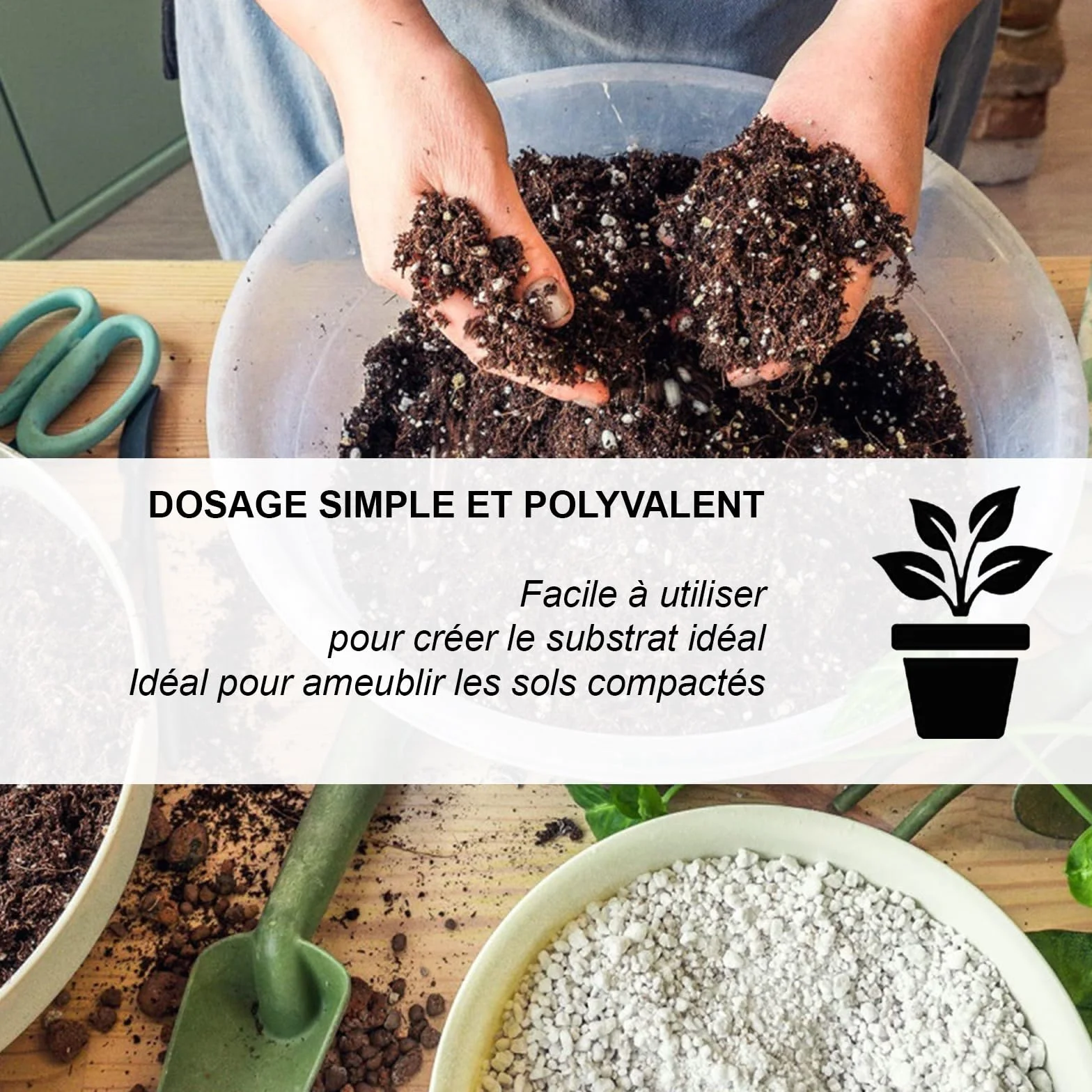 Perlite volcanique naturelle expansée pour jardinage 2 L drainage plantes intérieur