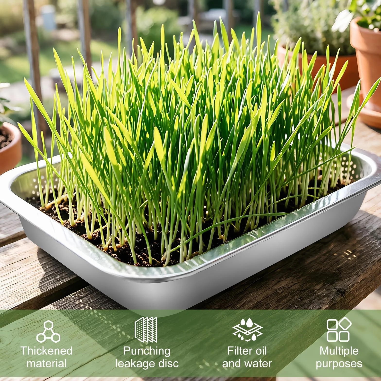 BORDEAG Lot de 2 bols à germination en acier inoxydable 27 x 20 x 4,8 cm Kit de culture de pousses