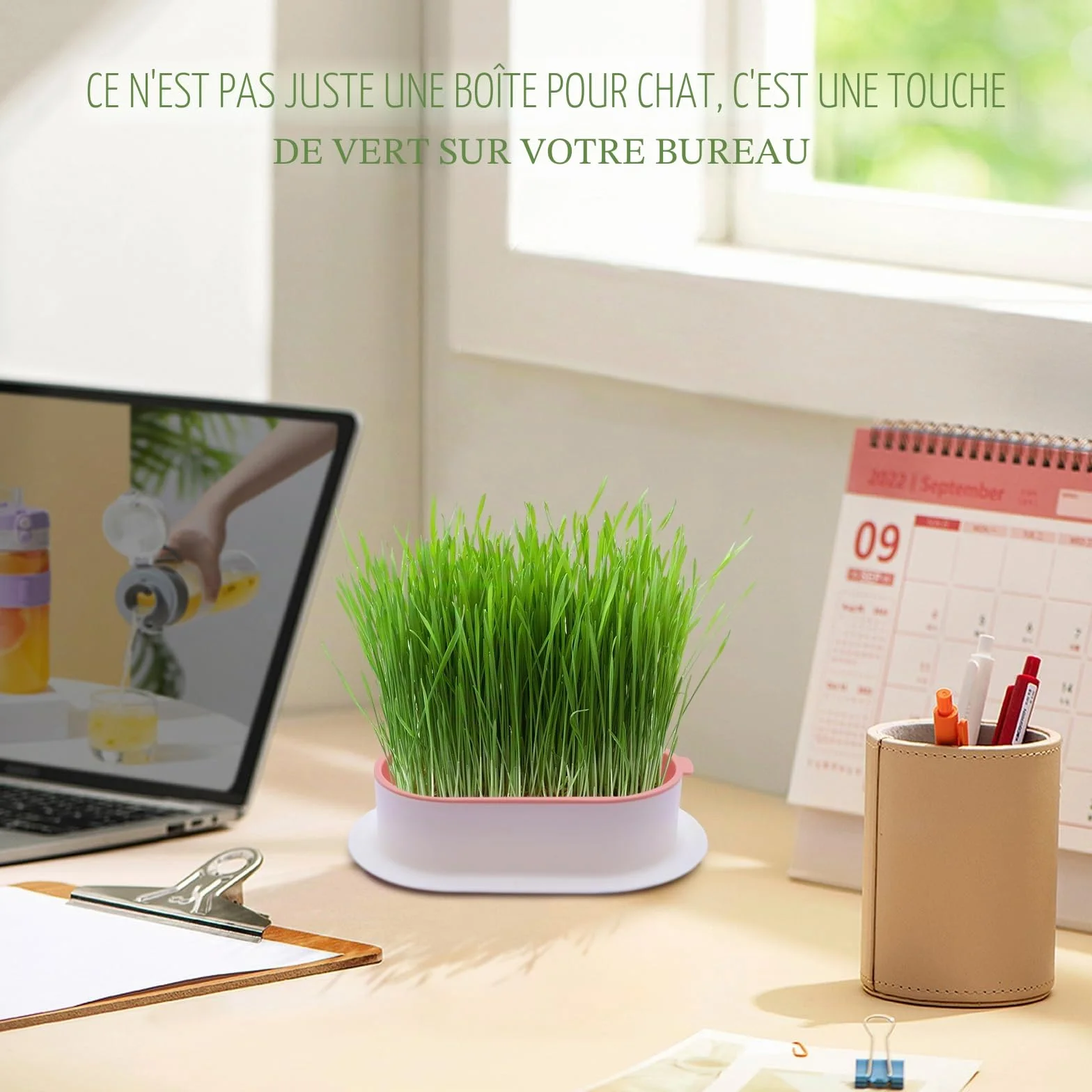 Bacs à Germer pour Herbe à Chat Fraîche, Plastique 2 Pièces